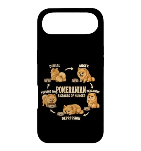 �|�����j�A�� 5�i�K�̋Q�� ���D���̃M�t�g �X�}�z�P�[�X iPhone Air �p