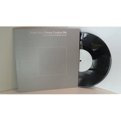 DAVID GRAY please forgive me PAUL HARTNOLL orbital REMIX. 10 inch. SAM00365