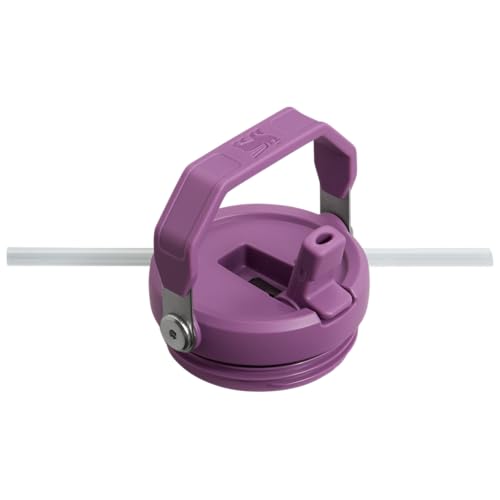 Image of Stanley IceFlow 2.0 Flip Straw Tumbler with Handle 30 oz | Twist On Lid and Flip Up Straw | Leakproof Water Bottle | Insulated Stainless Steel | BPA-Free | Lilac
