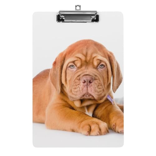 Planchettes à pince chat et chien avec clip profil bas pour un rangement facile