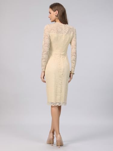 Image of Hobemty Women's Floral Lace Dress V Neck Long Sleeve Cocktail Wedding Bodycon Pencil Dresses