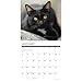 Black Cats 2026 Wall Calendar