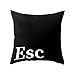GREENLANS Taie d'oreiller, Clavier Ctrl Alt Touche Clé Taie d'oreiller Housse De Coussin Canapé-lit Voiture Cafe Decor 1#