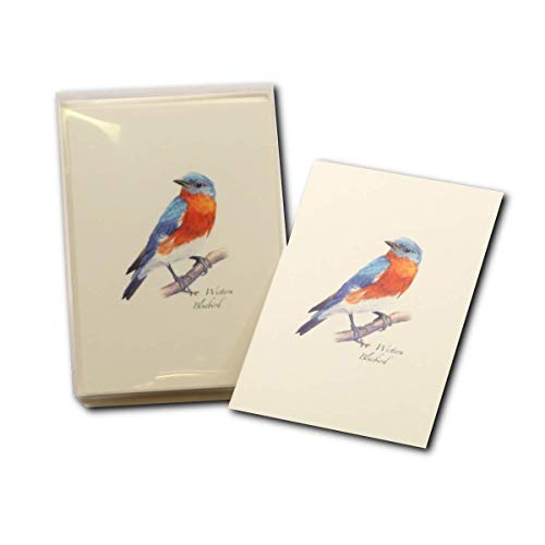 Image of Earth Sky + Water - Western Bluebird Notecard Set - 8 Blank Cards with Envelopes