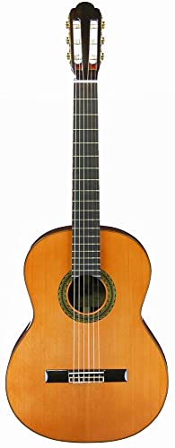 ＋【美品】Aria A-100S アコースティックギター 41vSTSZ8LDL.jpg