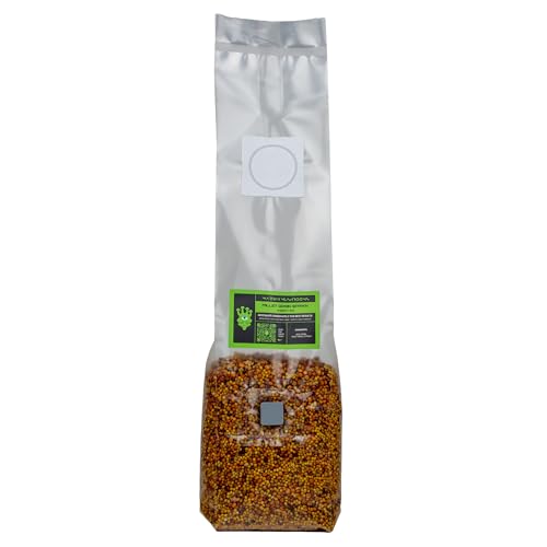 Martian Mushrooms Sterilised Millet Grain Spawn Bag Ready to Inoculate Premium Mushroom Spawn for Fast Colonisation Grow Your Own Mushrooms Easy Growing Mushrooms at Home Large 1kg Yields