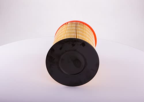 Bosch Filtro de Ar do Motor Automotivo Bosch AB2041