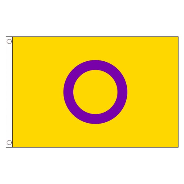 Flagtex Intersex Yellow Purple Large Pride Flag 8ft x 5ft LGBTQ Pride Flag Yellow Purple Circle Fade Resistant Polyester Double Stitched Reinforced 240cm x 150cm Outdoor Banner Display