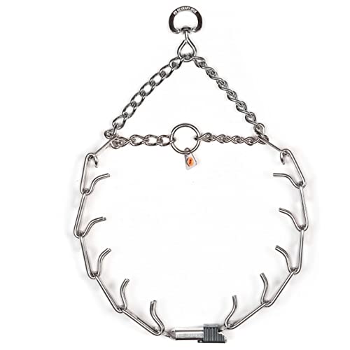 Prong Collar vs Choke Collar All Things To Know Vet Ranch