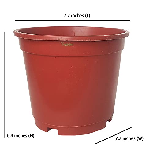 Image of Wonderland 8 inch Set of 3 Big Planter (Plastic Pots for Home Plants)