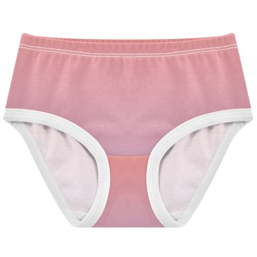 Joisal Durable Toddler Underwear Floral 2t Cotton Cute Panties Girl Coral Pink Lilac Gradient Briefs Undies Kids