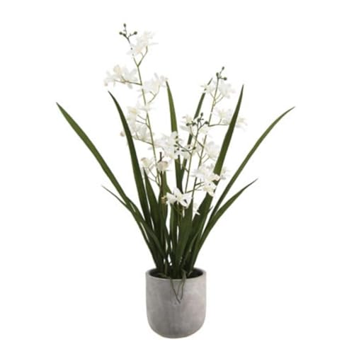 Image of CG Hunter Faux Vanda Orchid Plant, Premium Artificial Indoor Flower Display Stands 22.5 inch, Beautiful Sculptural Blooms that Lasts Forever, White Planter Pot Included