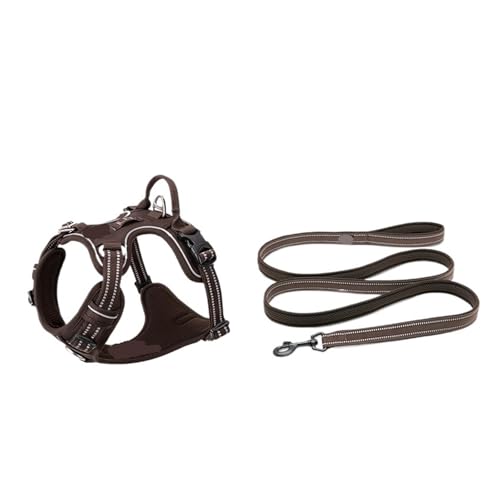 Harnais pour chien qui tire : solution anti-traction taille M avec laisse de 200cm