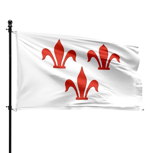 Drapeau Rotselaar 90x150 cm pavillon résistant pour mât de mairie - 2
