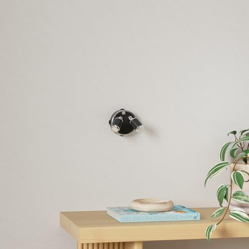 Amries Dual-Head Wireless Spotlight Battery Operated, Led Spot Lights Indoor with Remote and DC Cord, RGBW Accent Light for Art Picture, Dartboard, Kitchens Cabinets, Bedroom, Party Decor