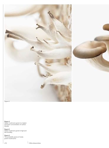 Bioprotopia: Designing Environment with Living Organisms - Image 8