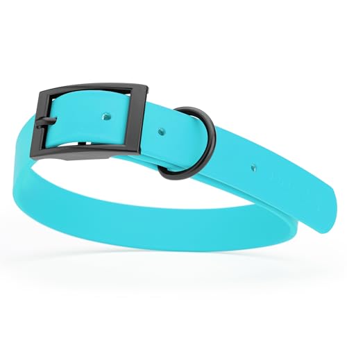 Image of Dogline Biothane Waterproof Dog Collar Strong Coated Nylon Webbing with Black Hardware Odor- Proof for Easy Care Easy to Clean High Performance Fits Small Medium or Large Dogs, Sky Blue