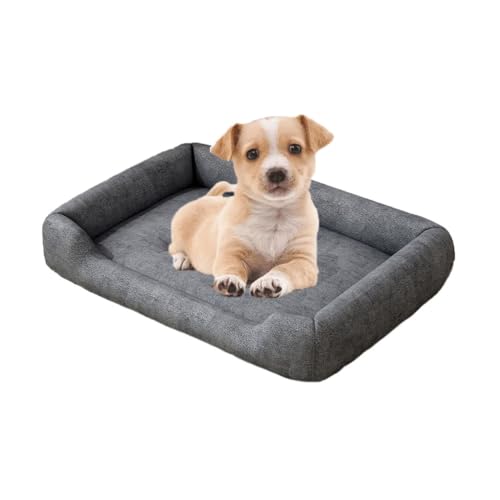 `OȗppxbhAN[gp[tH[pxbhAO\Ő􂦂Jo[Ɗ~ߒKȗpxbhALƌp,O[,M