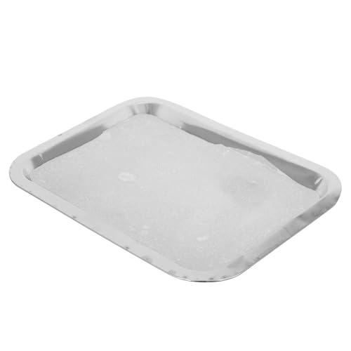 Mipcase - Mipcase Plateau de Dissection en Acier Inoxydable 19 X 26 CM Plateau de Laboratoire pour Biologie Hygiénique et Réutilisable Outil Pédagogique pour Expériences Scolaires