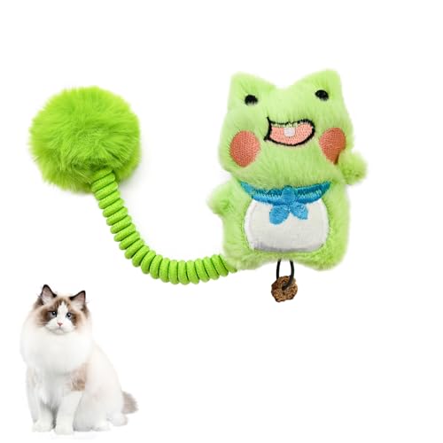 Andiker Catnip Toys, Cat Interactive Toys with Silvervine Fruit & Spring & Fuzzy Ball for Relaxing Playing, Plush Cat Teething Toys for Indoor Kitten for Cleaning Teething (Green Frog)