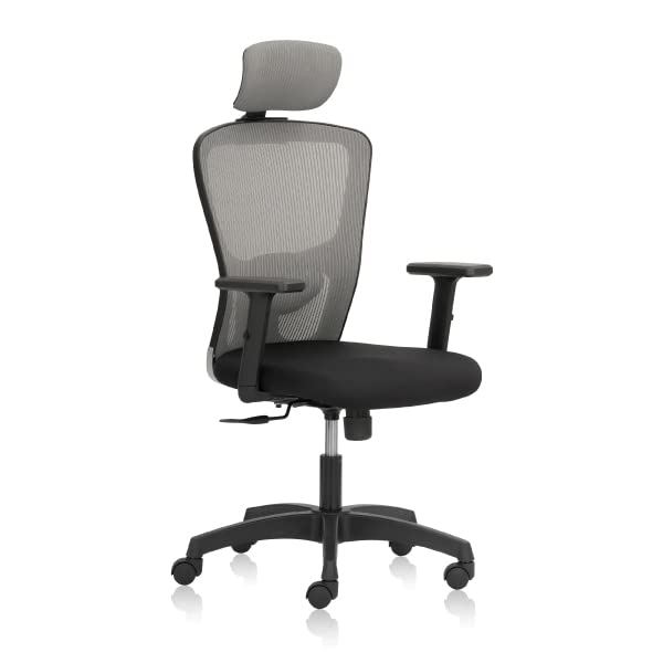 TransteelFluid Basics High Back Ergonomic Chair with Mesh Back & A