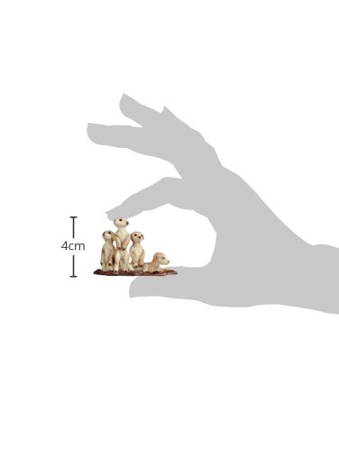 Amazon.co.jp: Schleich シュライヒ ワイルドライフ ミーア