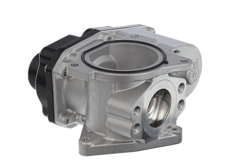 Valeo AGR-Ventil 700424