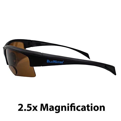 Global Vision BluWater Polarized Bifocal Sunglasses with Matte Black Frames and Brown Lenses3