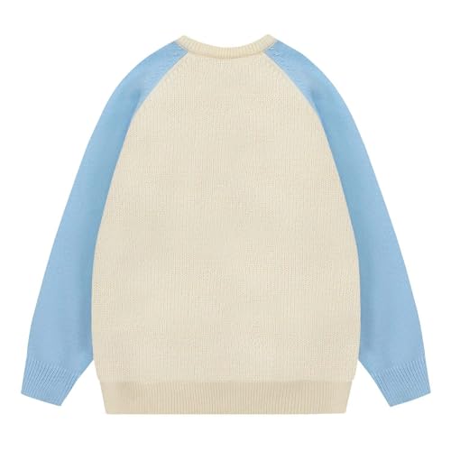 Pull en tricot de qualité supérieure à col rond masculin colorblock devil bleu S
