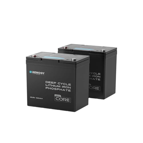 Renogy 2PCS 12V 100Ah Mini Size LiFePO4 Lithium Battery, 100A BMS for Ultimate Safety, Deep Cycle...
