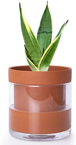 Phoenix Vine 6 Inch Self Watering Planter Pot, Design