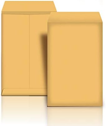 Amazon Basics Catalog Mailing Envelopes, Peel & Seal, 6x9 Inch, Brown Kraft, 100-Pack