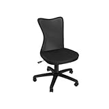 Z-Line Designs Mesh Task Chair, Black