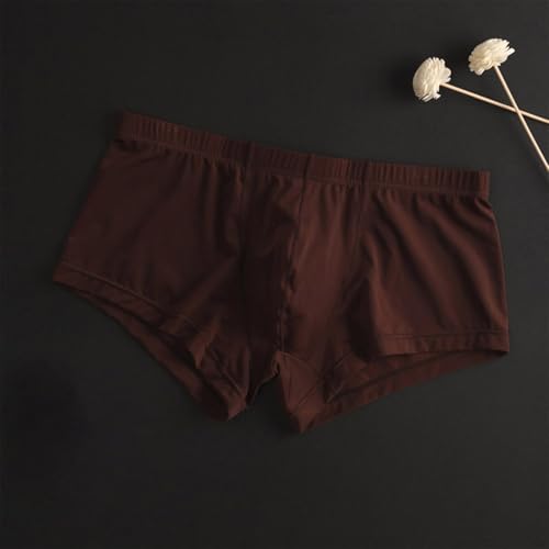 ONEFIT Men's Ice Silk Underwear Semi Transparent Low Waist Thin Boxer Briefs Mesh Breathable Underpants4