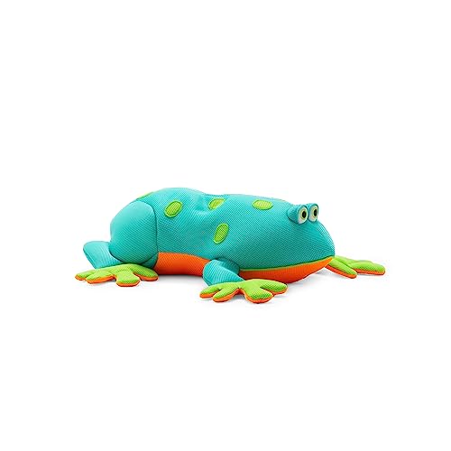 Buy Big joe turtle pool petz bean floats In Pakistan Big joe turtle