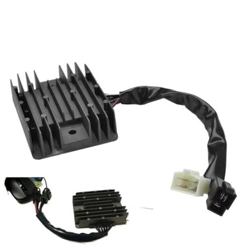 dM[^ DL1000 2002 2012 DL 1000 VStrom DL1000 V Strom ƌ݊