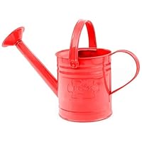 Bigjigs Toys Red Children's Watering Can with Fixed Spout, Top & Side Handle - Sturdy Kids Watering Can, Quality Kids Gardening Tools & Childrens Gardening Sets, Outdoor Toys