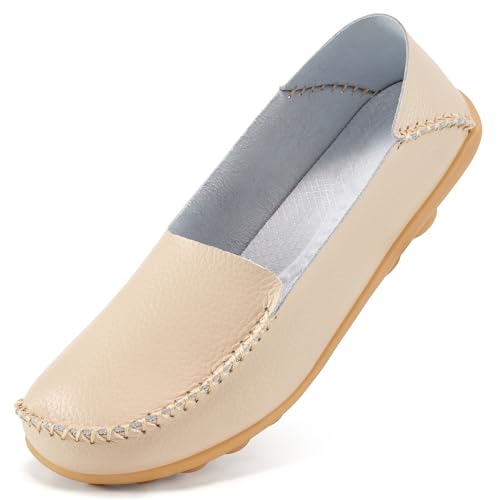 Ecetana [t@[ p yj[V[Y K Xb| JWA fB[X [t@[ t@bV JV y EhgD hCrO tbg {[gV[Y, x[W, 23.0 cm