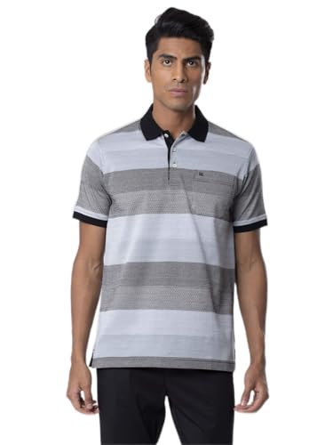 Image of Raymond Men's Regular Fit Polo
