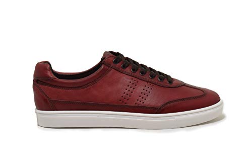 Los 5 Mejores Modelos De Tenis Vino