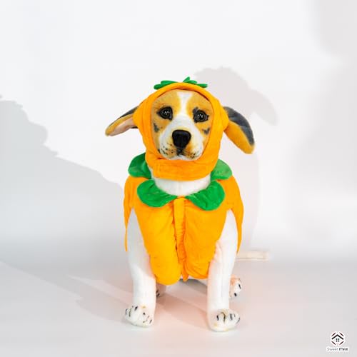 Disfraz de Calabaza para Perros Talla M miniatura 7
