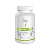 PlantaVis Abwehrkraft, Nahrungsergänzungsmittel mit Vitaminen, Mineralstoffen und Pflanzenextrakten, Monatspackung mit 60 Kapseln, vegan, 34 g