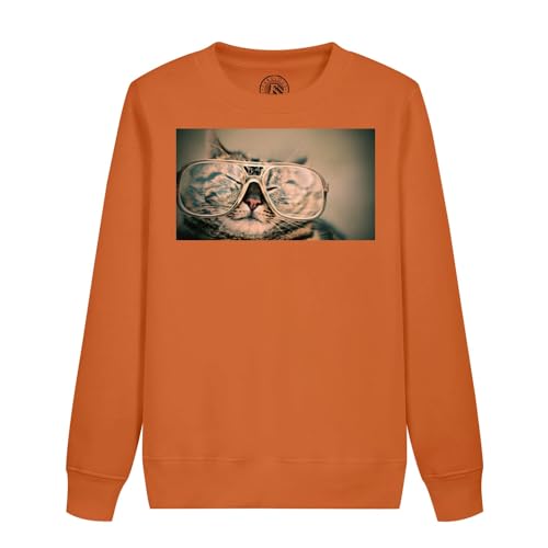Sweatshirt enfant chat tigre vêtement mignon motif photo drôle