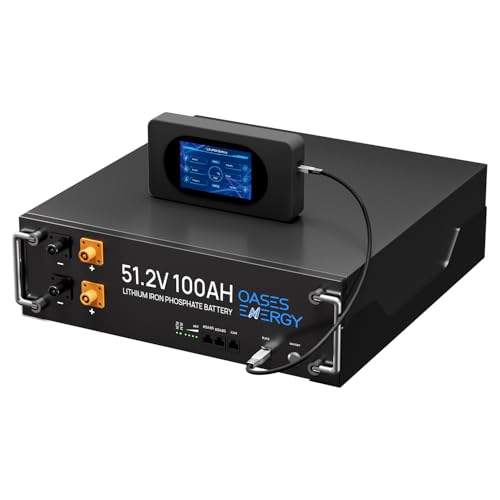 48V 100Ah Lithium Battery with Touch Monitor