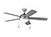 Monte Carlo 5DIW52PBSD Discus 52" Outdoor Ceiling Fan with LED Light and Pull Chain, 5 Blades, Painted Brushed Steel