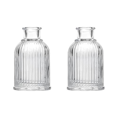 Vase géométrique en verre transparent | Lot de mini bouteilles pour fleurs