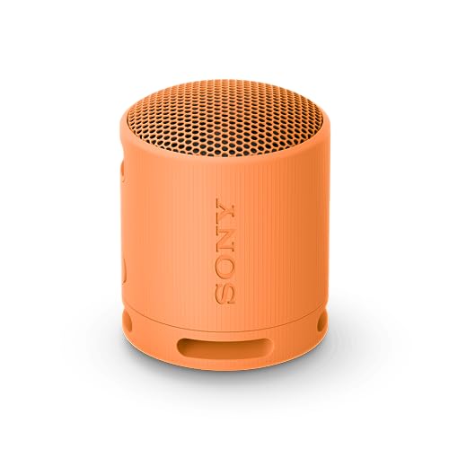 Sony SRS-XB100 - Enceinte sans Fil Bluetooth, Portable, légère, compacte, Durable, IP67, étanche à l'eau et à la poussière, Batterie 16H, dragonne Polyvalente,...