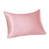 Tim & Tina 100% Pure Mulberry Luxury Silk Satin Pillowcase,Good for Skin and Hair (Toddler/Travel(14