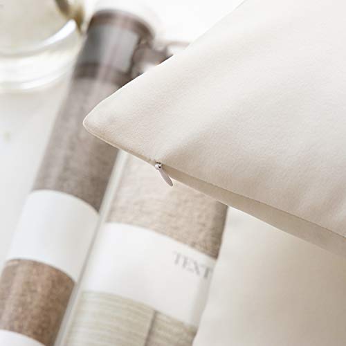 Phantoscope Pack of 2 Velvet Decorative Throw Decorative Pillow Cover Soft Solid Square Cushion Case for Couch Off White 12 x 20 inches 30 x 50 cm