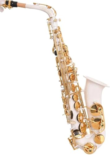 サックス ハードケース アルトサックス」の人気商品一覧 | 安い商品を